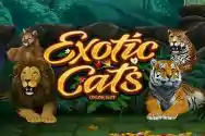 RTP Slot Image KASTOTO
