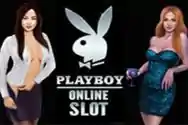 RTP Slot Image KASTOTO